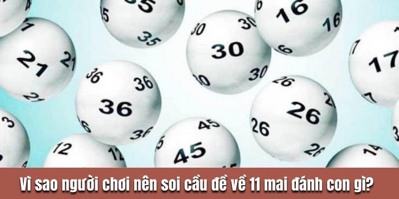 Vì sao người chơi nên soi cầu đề về 11 mai đánh con gì? 